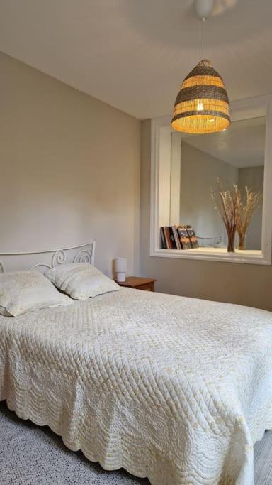Appartement Le Champ Du Roy à Chasse-sur-Rhône Extérieur photo