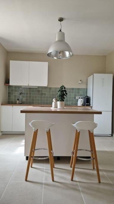 Appartement Le Champ Du Roy à Chasse-sur-Rhône Extérieur photo
